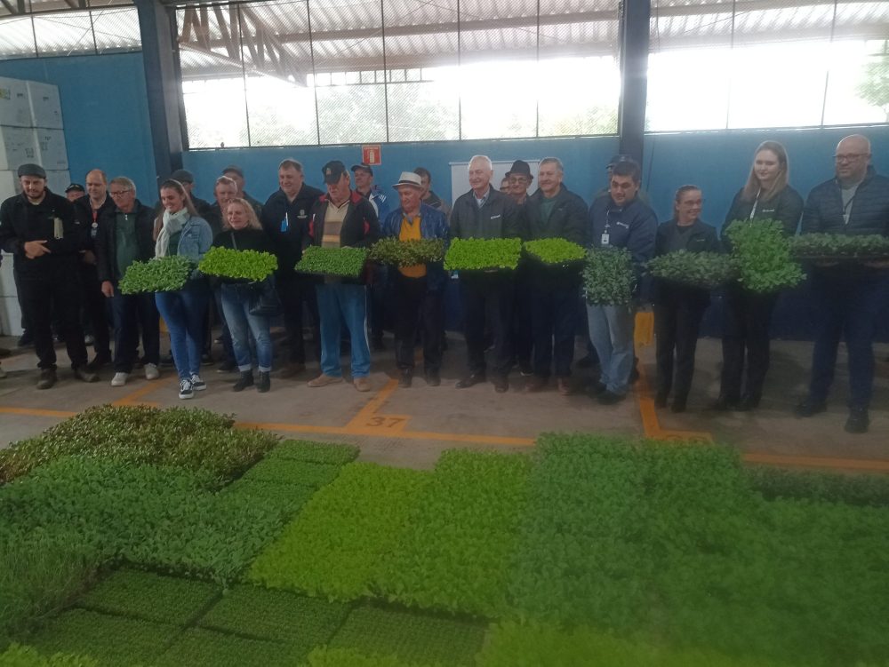 Em projeto com recursos do SICREDI, produtores de Santa Cruz atingidos pelas chuvas recebem mudas de hortaliças.