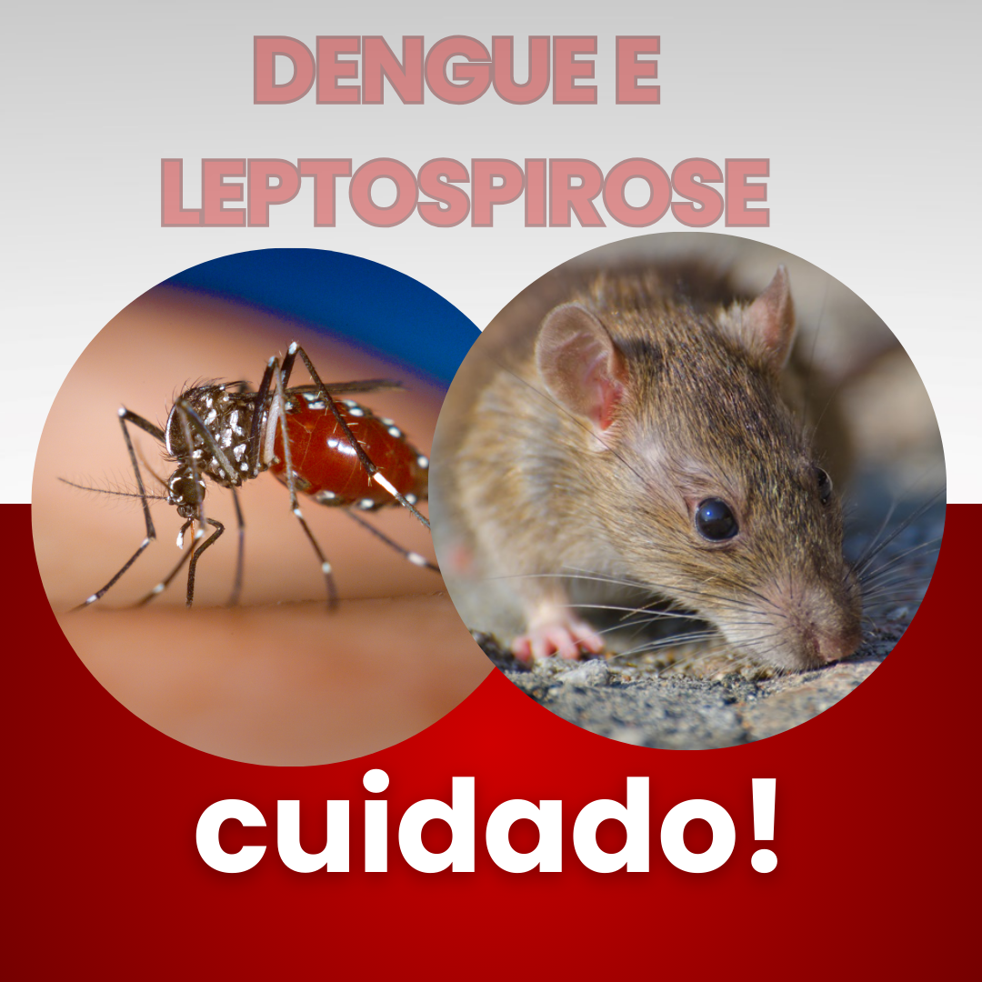 Saiba como estão os números da dengue e da leptospirose em Rio Pardo.