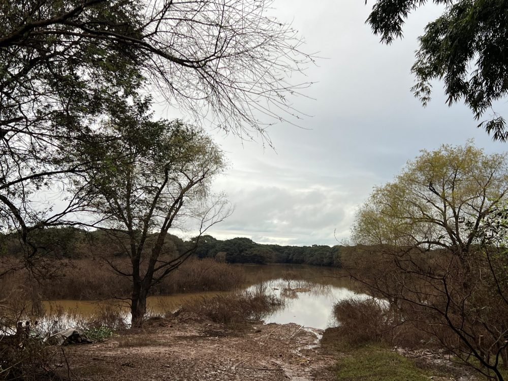 NOVA ENCHENTE? Confira a precipitação do final de semana em Rio Pardo, a situação atual e a previsão para os próximos dias.